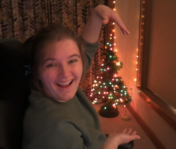 dug out the christmas tree for tonight's stream🎄