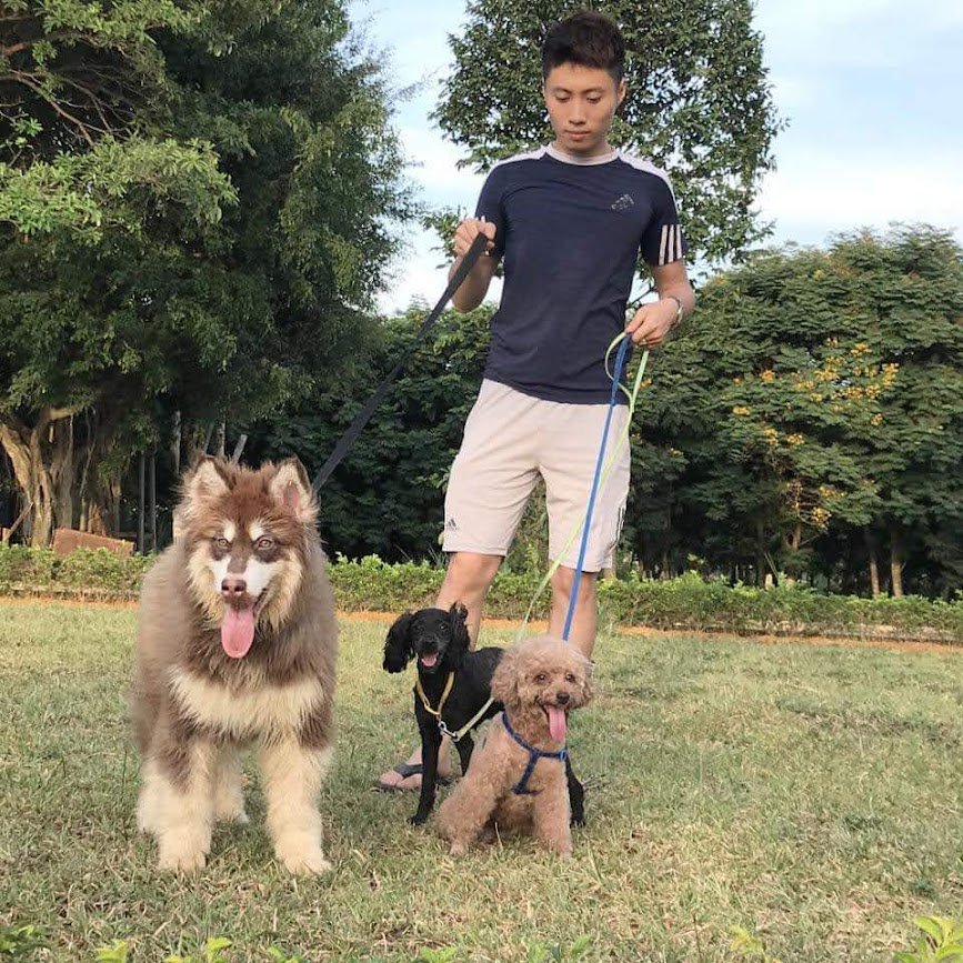 Nói chung là cũng nhàn !!!
Nhà cửa tan hoang k còn cái gì để cho nó gặm nữa rồi ☹️
Ae nào rảnh đi qua tt giúp mình với nhé.Hứa sang nhà trả bài đầy đủ ✨✨