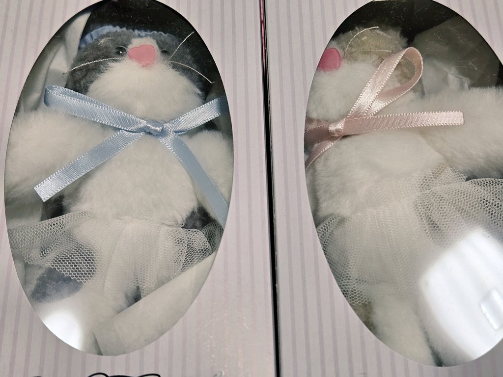 코가 삥쿠 하트입니다