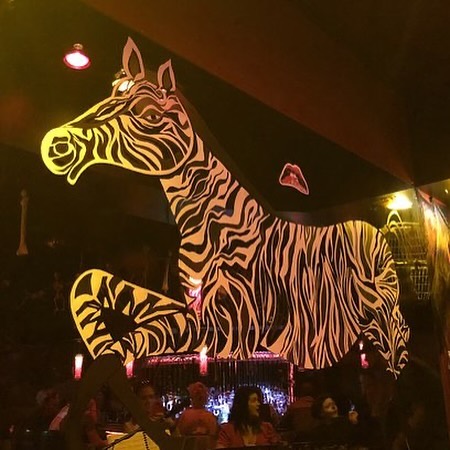 The atmosphere is immaculate at @zebramemphis. 🦓 📷 : sapphicmemphis