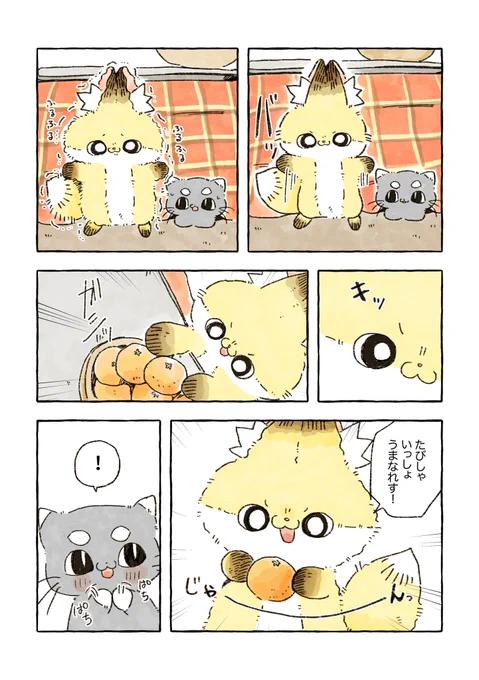 がんばり🍊