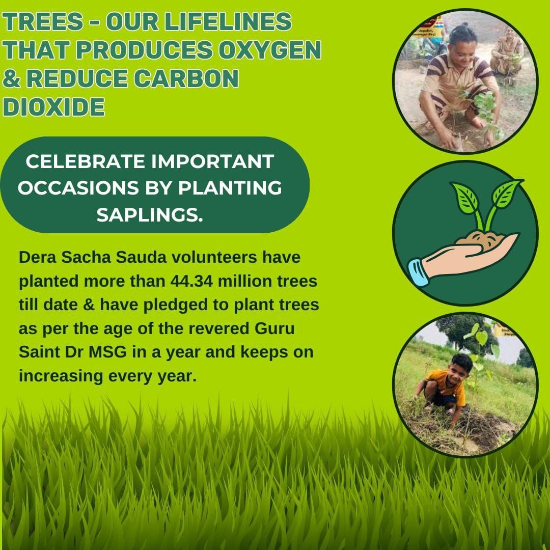 The Pollution in the environment is inclining rapidly. So it is our responsibility to give ahealthy environment to live for coming generation.Bythe pious guidance of SaintRamRahim ji DSS followers Plant trees on their special occasions.
#WorldPollutionPreventionDay #EndPollution