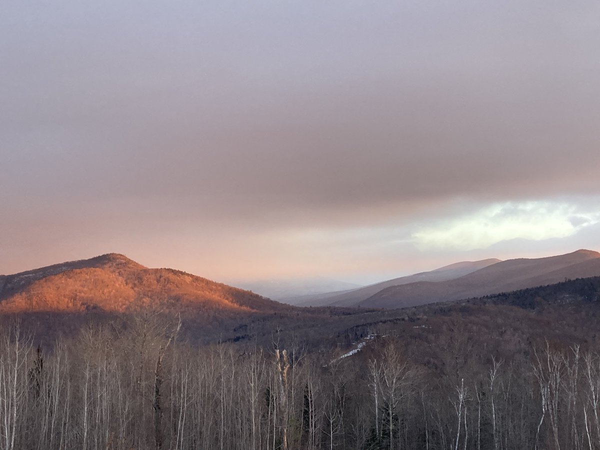 Jane O'Brien tweet media