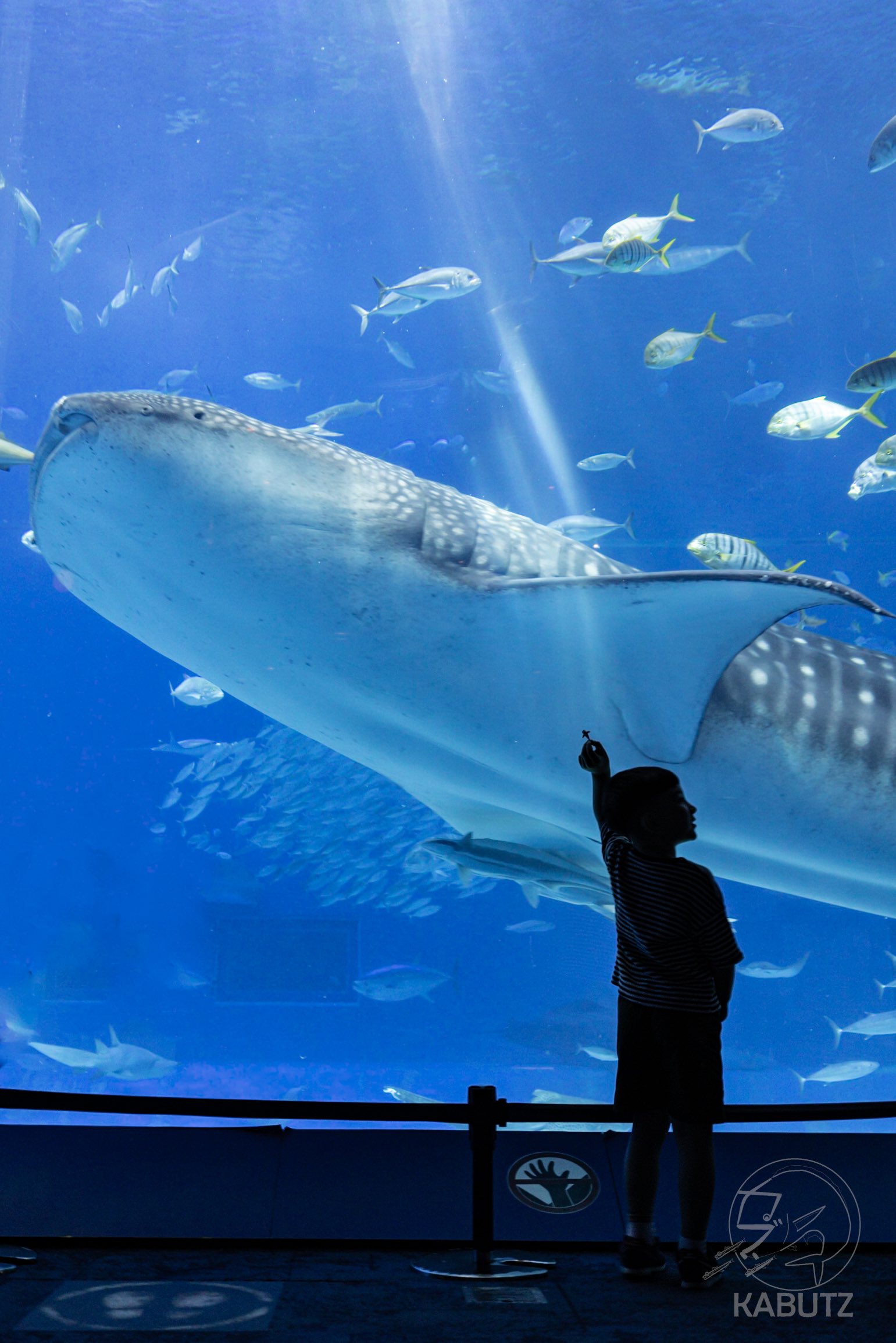 ❤️チャルメラ❤️星の海　小さな水族館　Sea drop✩。°ネックレス ❤️チャルメラ❤️星の海 小さな水族館 Sea drop