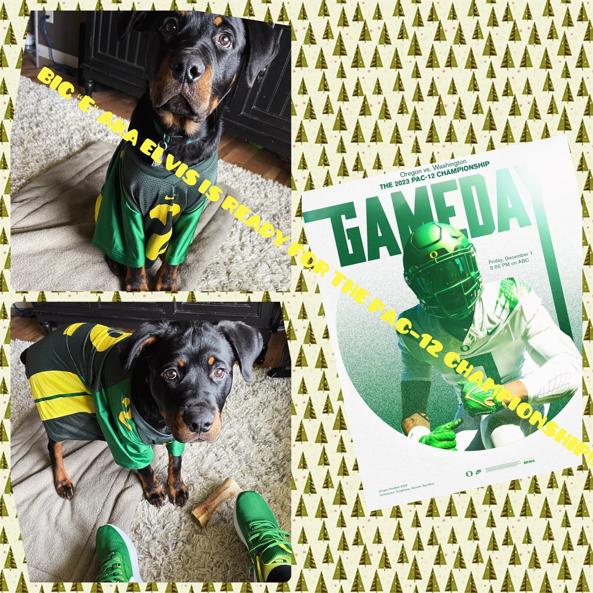 JHutchero's tweet image. @GoDucks #oregondogs #Pac12Championship