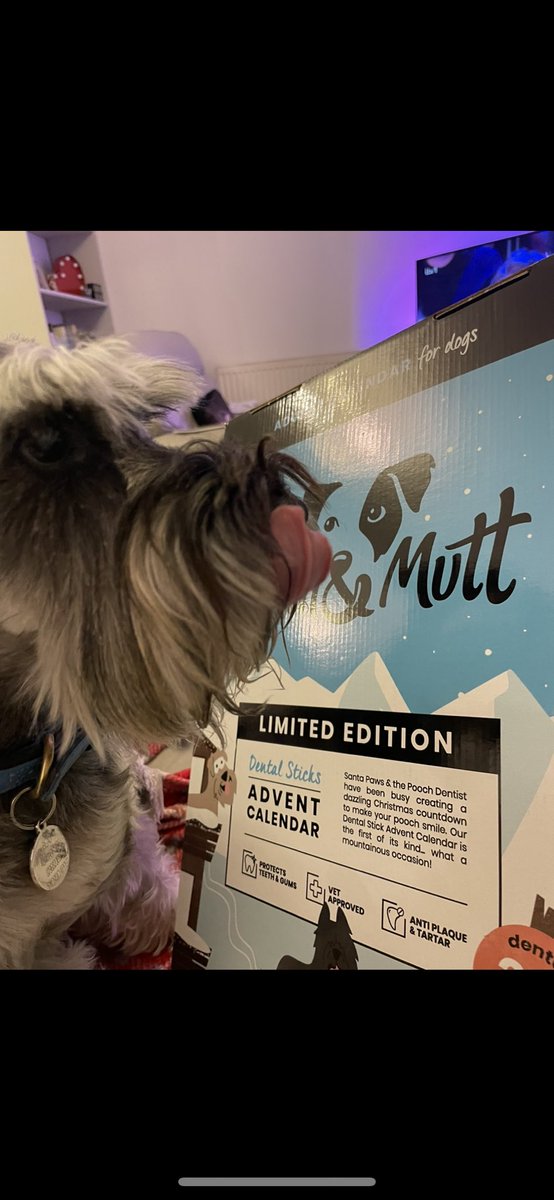 Schnauzer_Tails's tweet photo. December the oneth means I can start my yummeh advent calendar! 🐾❄️🎄✨🐾 https://t.co/UggCO0Mc63