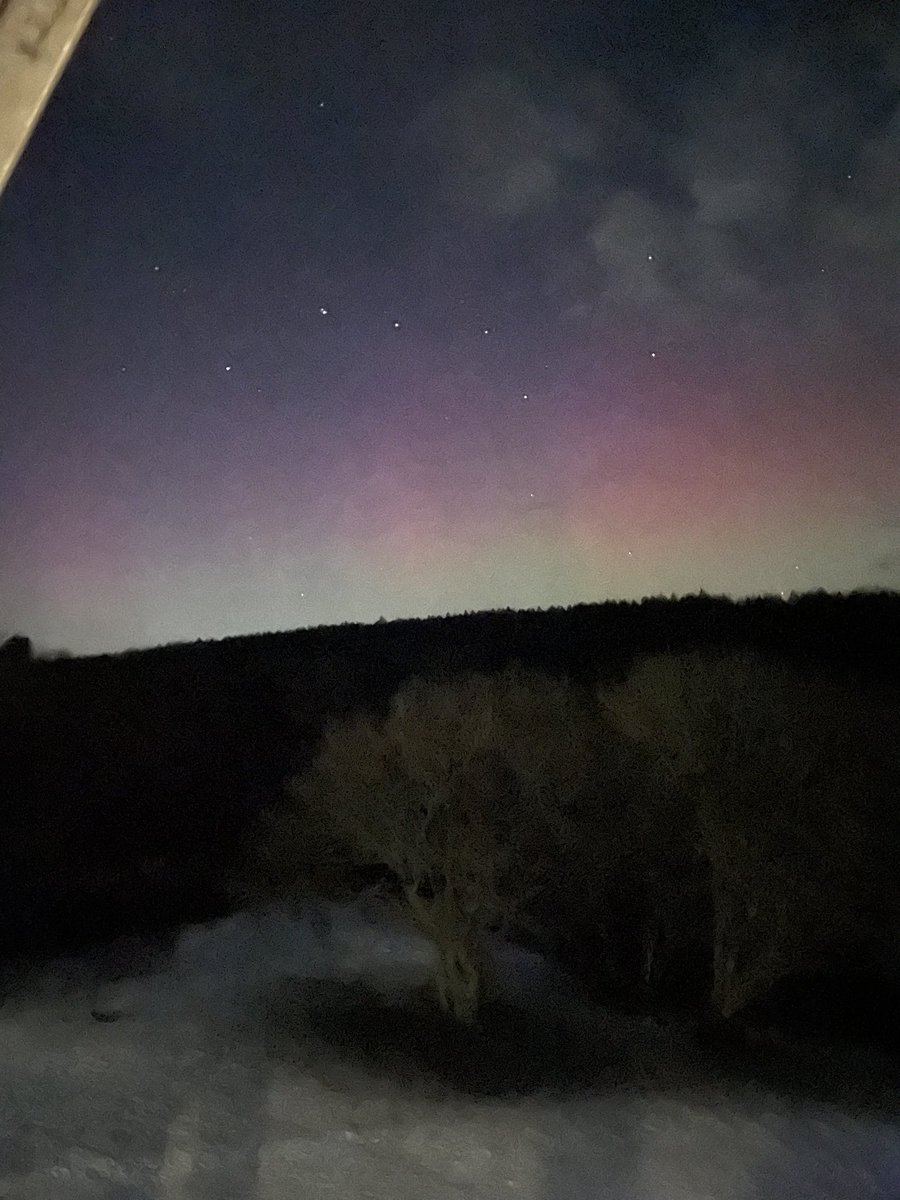 anne livesey tweet media