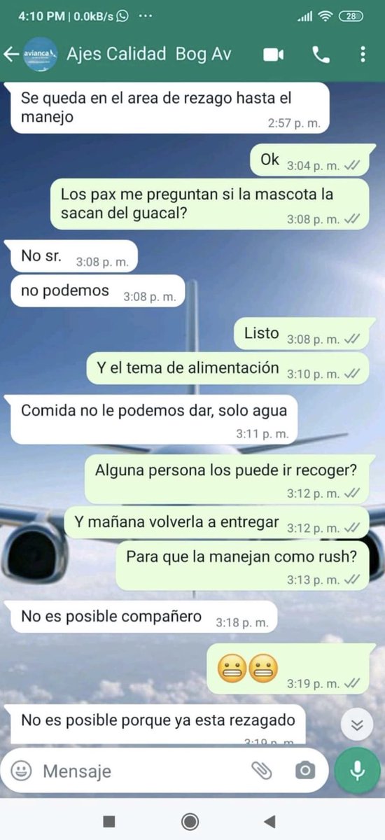 JuanisMtzM's tweet photo. Queremos hacer una denuncia pública a @avianca tienen a Lulo en bodega desde las 6pm y no quieren entregarlo, darle comida o sacarlo a hacer sus necesidades! 

POR FAVOR AYÚDENME A COMPARTIR!!!! https://t.co/CCxx05ciHd