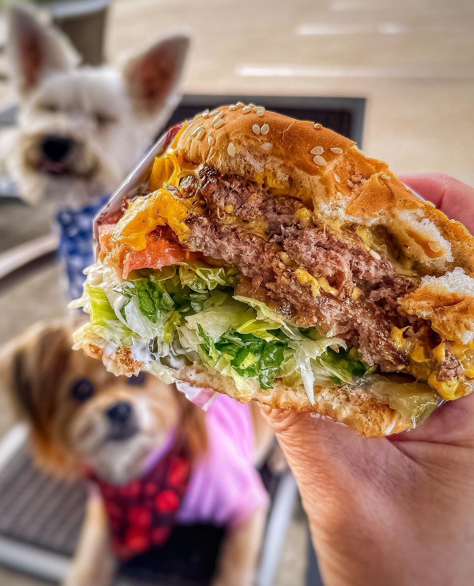 November Vibe Check 🥤🍔🐶🫶🏼⁠