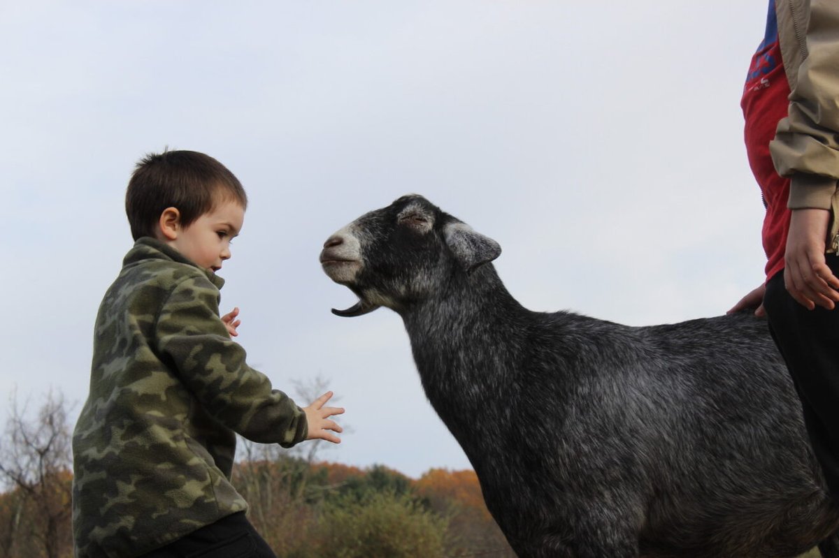ACFSouthampton's tweet photo. Autism Cares Foundation had another great time at Helping Friendly Farm, located in New Hope. This fantastic farm is dedicated to helping disabled individuals by providing a fun and sensory-friendly environment. And, of course, there are adorable farm animals! https://t.co/3pIAgWcapk