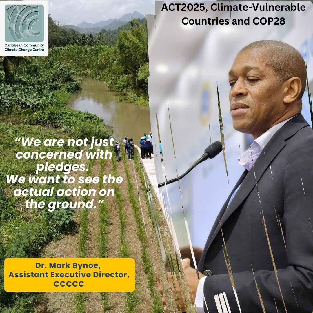 Caribbean Community Climate Change Centre (@caricomclimate) on Twitter photo 🤔 What do the world’s most climate-vulnerable countries need from the 2023 UN climate summit (COP28)? Listen to #ACT2025 partner Dr. Mark Bynoe on what CARICOM countries are hoping for to ensure a climate-resilient future. Learn more: bit.ly/3GsYKjH
<a href="/CARICOMorg/">CARICOM: Caribbean Community</a> 🤔 What do the world’s most climate-vulnerable countries need from the 2023 UN climate summit (COP28)? Listen to #ACT2025 partner Dr. Mark Bynoe on what CARICOM countries are hoping for to ensure a climate-resilient future. Learn more: bit.ly/3GsYKjH
<a href="/CARICOMorg/">CARICOM: Caribbean Community</a>