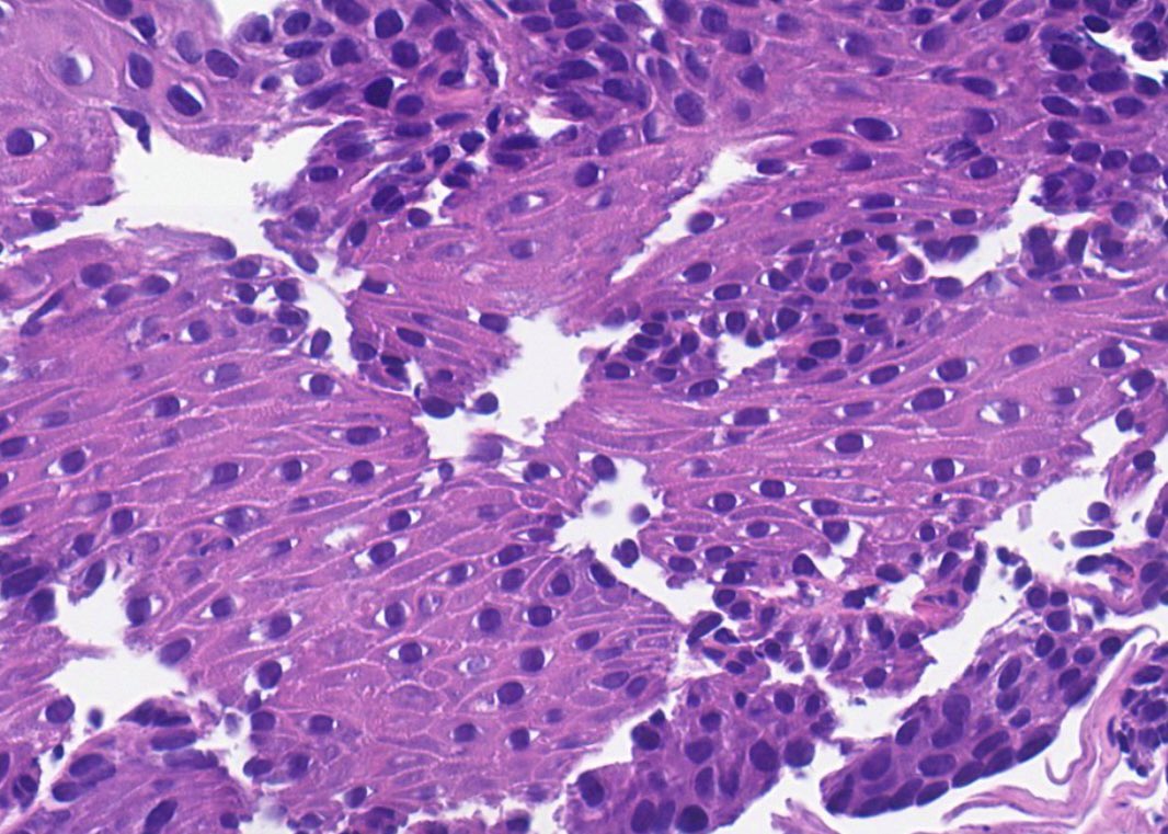 The cells are like looking into my soul #PathTwitter #PathX