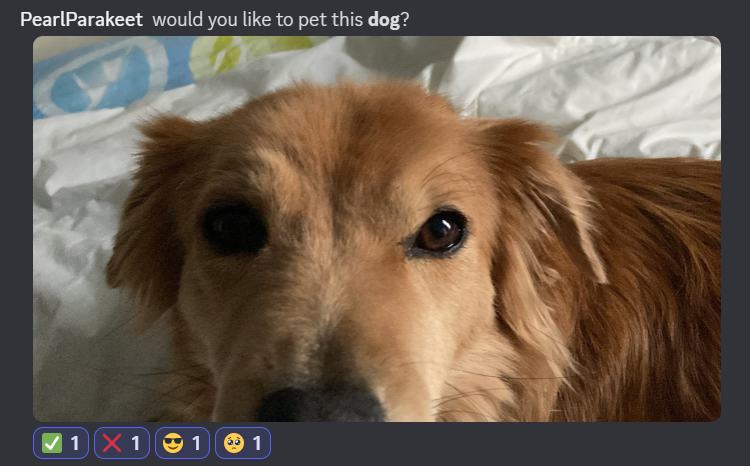 azuradoggo tweet media
