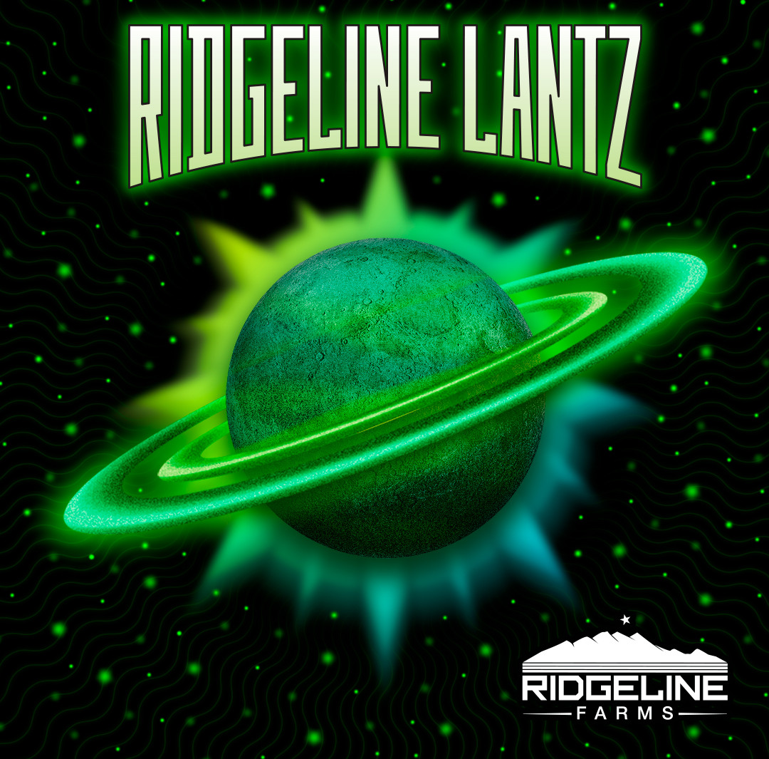 Double the ⛽ 🆕 @Cookiesenterprises drops for #FlowerFriday! Immerse yourself in the taste of {Blue Agave} with its sweet agave and earthy pine flavor, and don't miss out on the sweet candy and earthy pine combination of {Ridgeline Lantz}! #FridayFlavors