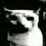 HadrosL's tweet photo. FFFDSDTSTDVKJGDFVSGHJFVGDEJQSFBVJYLQESHFDBHJLQFBHJBDFHJLDSBGHJFBDSHJFBDSHKFBDHJKLSFBDSQHKM https://t.co/6XcMckL1QT