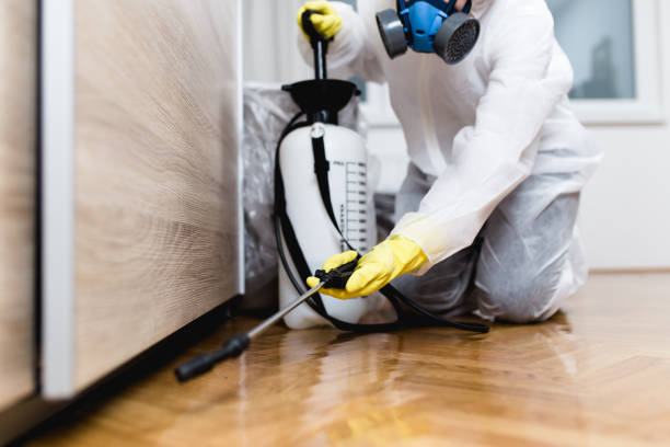 Keep your home safe and sound with our comprehensive home protection plans. From ants to bed bugs, our skilled team creates a barrier, ensuring your home is a pest-free haven. #HomeProtection #PestFreeLiving