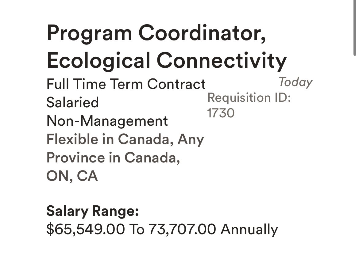 🎉 I’m hiring! Work @NCC_CNC! 🎉 JOB: Ecological Connectivity Coordinator * Coordinate multi-partner research & application to conservation across 🇨🇦 * 2.5 yr position * Flexible location * Apply by 5 Jan 2024 natureconservancy.ca/en/who-we-are/… #ConservationJobs #CdnSci