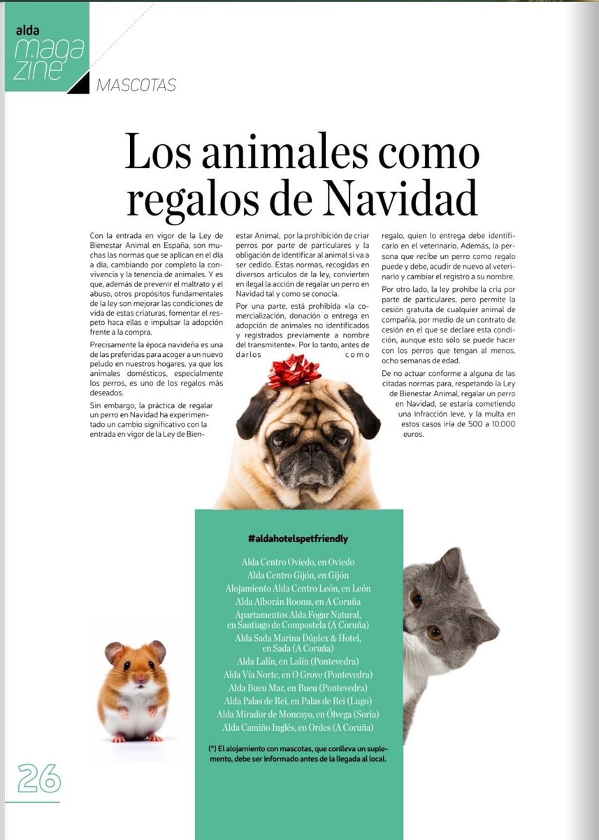 RakelFM2_45's tweet photo. ESTE NADAL, LEMBRA!
OS ANIMAIS NON SON REGALOS. 
Ponte no seu lugar.

Neste artigo nolo conta Ana Iglesias na revista Alda Magazine.
https://t.co/eEIJmIir7D https://t.co/Wq9SJz3pZT