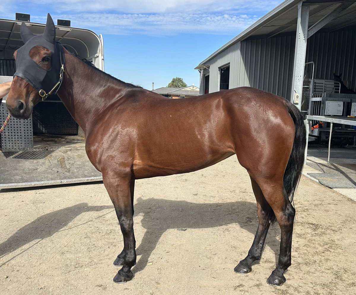 🐎 1 runner from <a href="/TheCreekAlbion/">The Creek</a> 

💥 r7- #10 Forever A Dancer 
👨‍✈️- Matt Neilson
👨‍👩‍👧‍👦 <a href="/goozbet/">Aaron Goadsby</a> , Lone Oak Equine &amp; Adam N Muldoon
🤔- Came up earlier in the week , would seem back in grade but 10 over the short trip is always needing luck in running 

Good luck to connections 🍀