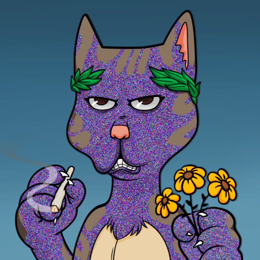 H₳PPY 🧡 $DOG tweet media