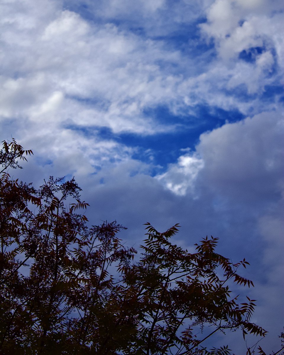 Rayeed_Hoque's tweet photo. The clouds were looking surreal ☁️

📷 Taken on Canon EOS Rebel T5
Lens: 18-55mm, 50mm 

#SkyShots #SkyPics #SkyPhotography #PhotographyLovers #CloudyDays #SkyHigh #AerialViews https://t.co/kxSTLxdY6S