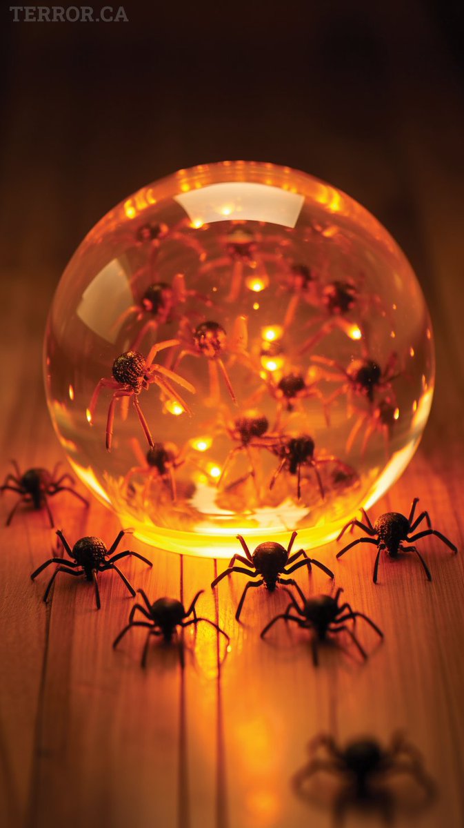 Steve Hutchison tweet media