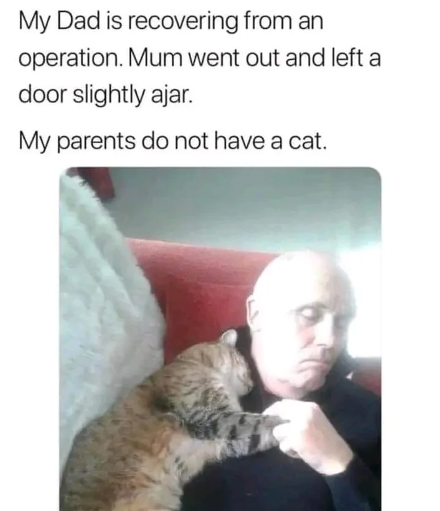 Interesting AF tweet media