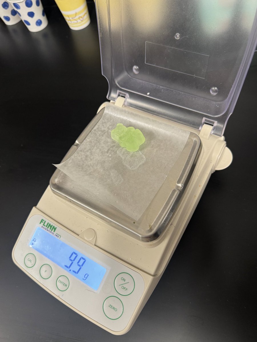 My Pre-AP Biology students loved our 2-day gummy bear lab modeling #osmosis! Students determined the tonicity of different solutions the gummy bears soaked in based on the change in mass/volume.  ⚖️📏 #GrowingGreatness <a href="/PieperHS/">Pieper High School</a>