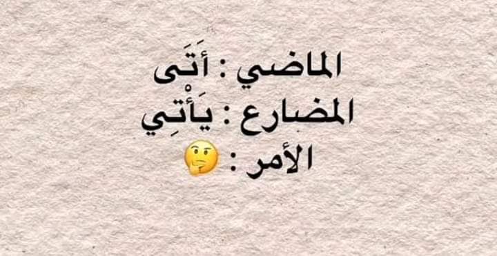 هندسة النحو-هيثم الوزير tweet media