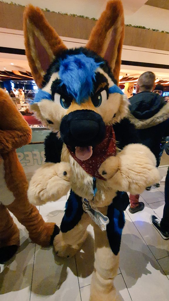 Adorable <a href="/KeplinDerps/">Keplin</a> at #FurFest
