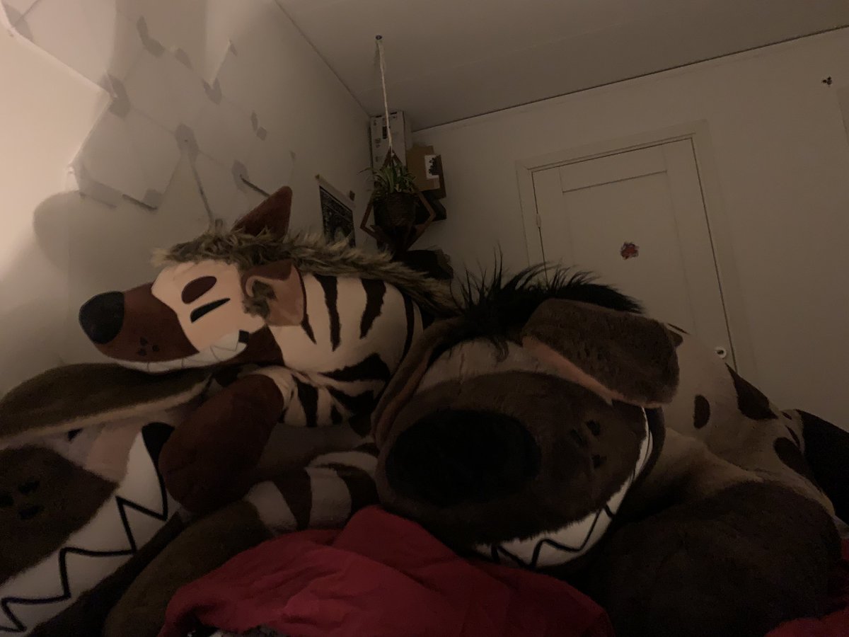 🌸🌺Roland 🌺🌸 tweet media