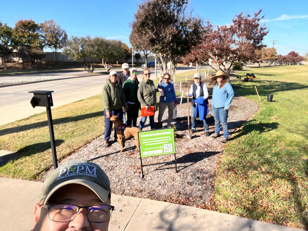 Happy Friday (12/01/23)! Great day to work outdoor on USDA-NIFA SCRI Sustainable Roses project.  Thank you Tarrant County Master Gardeners for helping to plant roses in Grapevine, TX.  -KO @txplantdr #extensionlife #extPLPM  #roses #SCRISustainableRoses #rosetrials