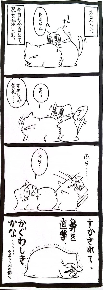 【猫】ガステロ