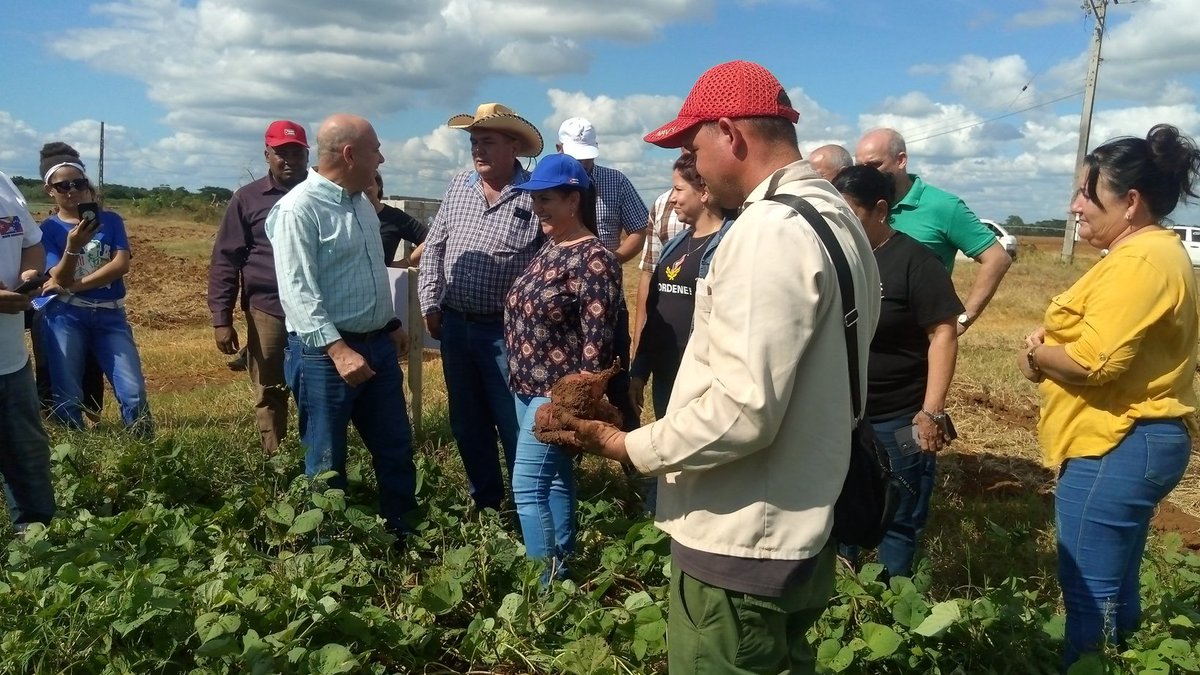 Visitamos la Empresa Agropecuaria Horquita en el municipio #Abreus en #Cienfuegos. Estimulantes resultados en la producción de viandas y hortalizas que gradualmente incidirán en la disminución de los precios a la población. #Cuba #UnidosXCuba