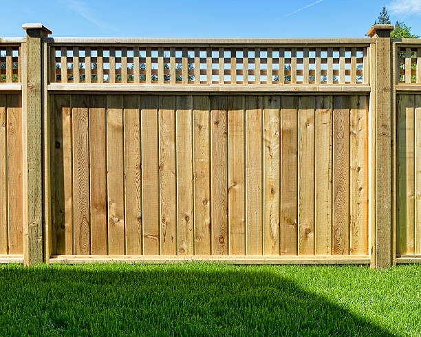 Paz_Landscape's tweet image. Fencing can provide privacy and security for your outdoor space, but choosing a style that complements your home and landscape is important. #FencingDesign #OutdoorPrivacy