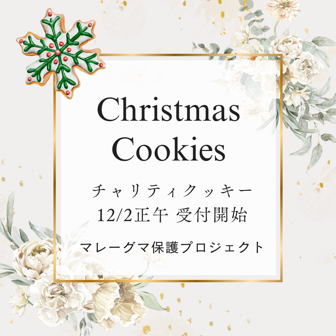 NPO_SJ's tweet photo. 【本日正午受付開始✩限定15個】

クリスマス🎄チャリティークッキーのお知らせです。

私たちの理念である生物多様性の発信、またマレーグマの保護活動を頑張っている@BSBCC_Japanさんのサポートにつなげたいと思っています🫶

本日正午、@Miricafe_mayumiのDMで受付開始、限定15セットとなります。 https://t.co/fIk5mkj1zh