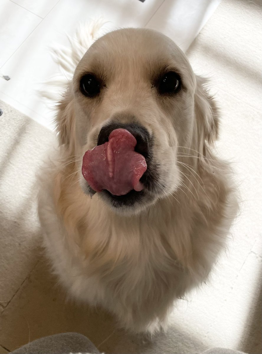 kupmop's tweet photo. 😋 https://t.co/08fTxqgpMk