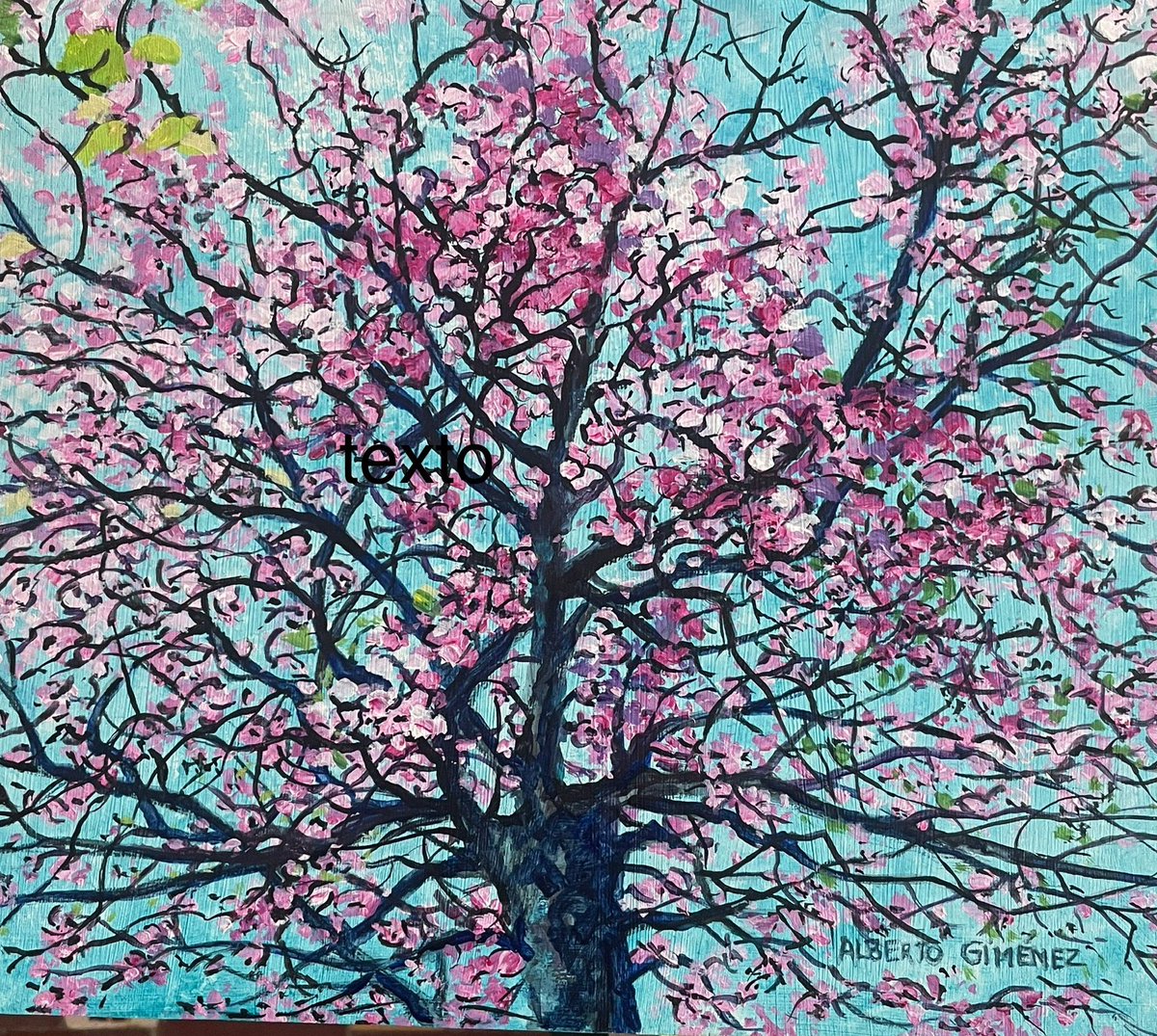 ALGIROART's tweet image. It will be my pleasure to be in @cmvrsa. Amaizing place and cultural space  in O Centro Cultural António Aleixo #Portugal #artgallery #Andalucia #oilpainting