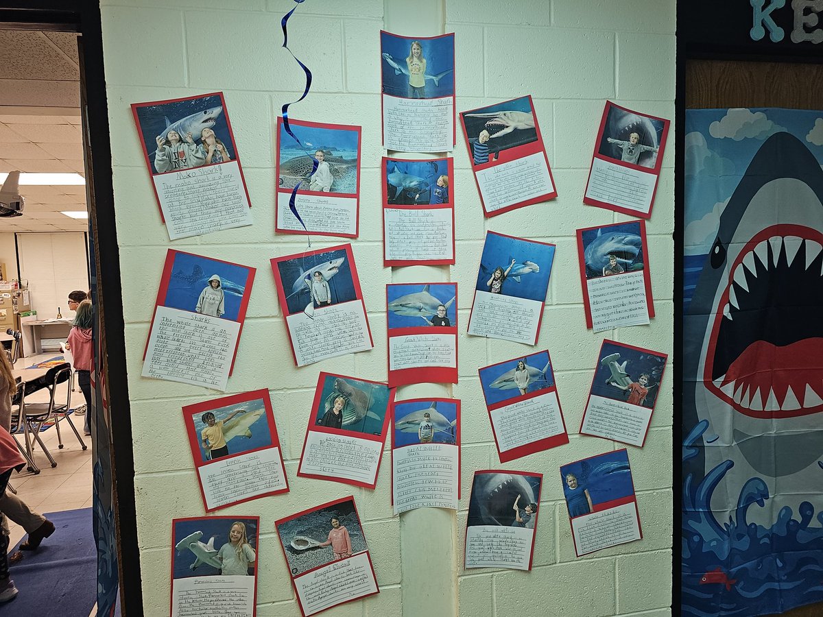 Our third grade hall was turned into a shark museum today. Students shared research they had done on various sea creatures with the museum visitors. <a href="/kemmie_bayliss/">Kemmie Bayliss</a> <a href="/NewHanoverCoSch/">New Hanover County Schools</a> <a href="/MrsRossersClass/">Jennifer Rosser</a>