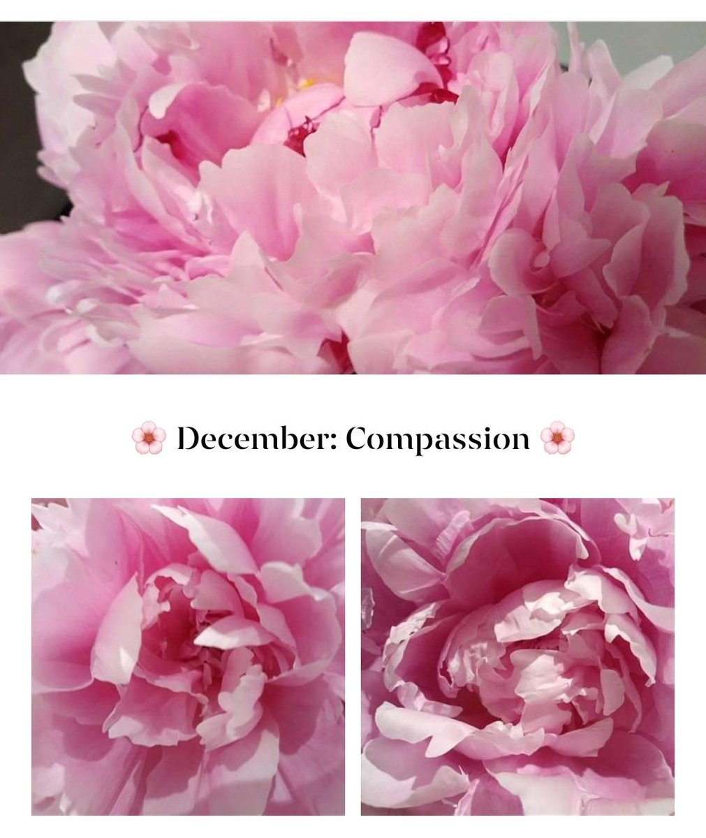 MichellePoet's tweet image. #HappyDecember #youareblessed #compassionchallenge #festiveseason #familyltime #selfcare #selfcarematters #selfcare #selfcarejourney #selfcareisnotselfish #selfcompassion #takecare #fillyourcup #compassionatecare #blessedwithcompassion #payitforward #CompassionInAction #light