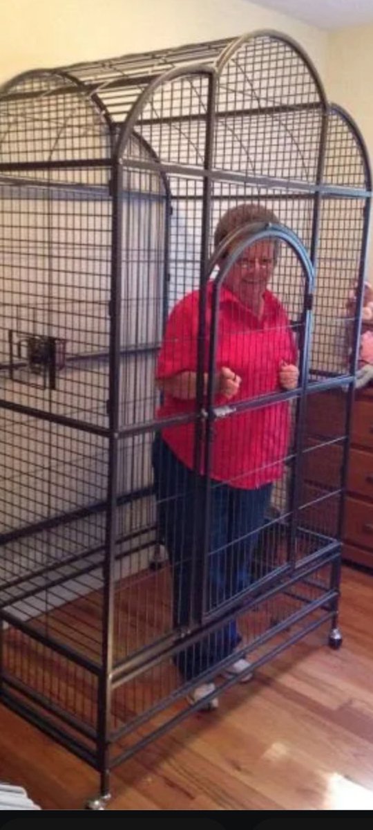 mcentee_zach's tweet photo. Grandma comes out when Duey is free @Dueycbb https://t.co/qBMyFnbEOW