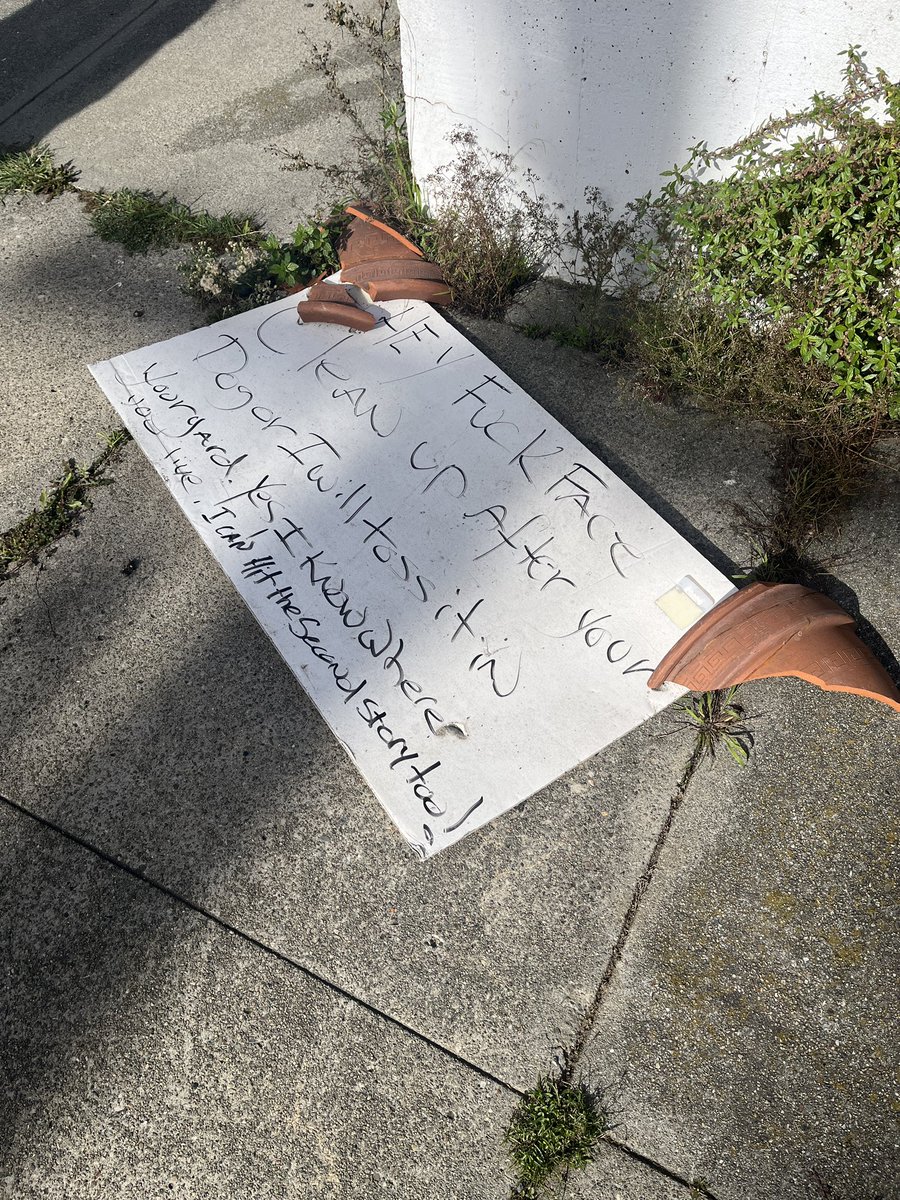 I can’t take credit for this pot punish (or the dog shit), but I found this work of art in my neighborhood and I am dying to know more about this beef 🥩