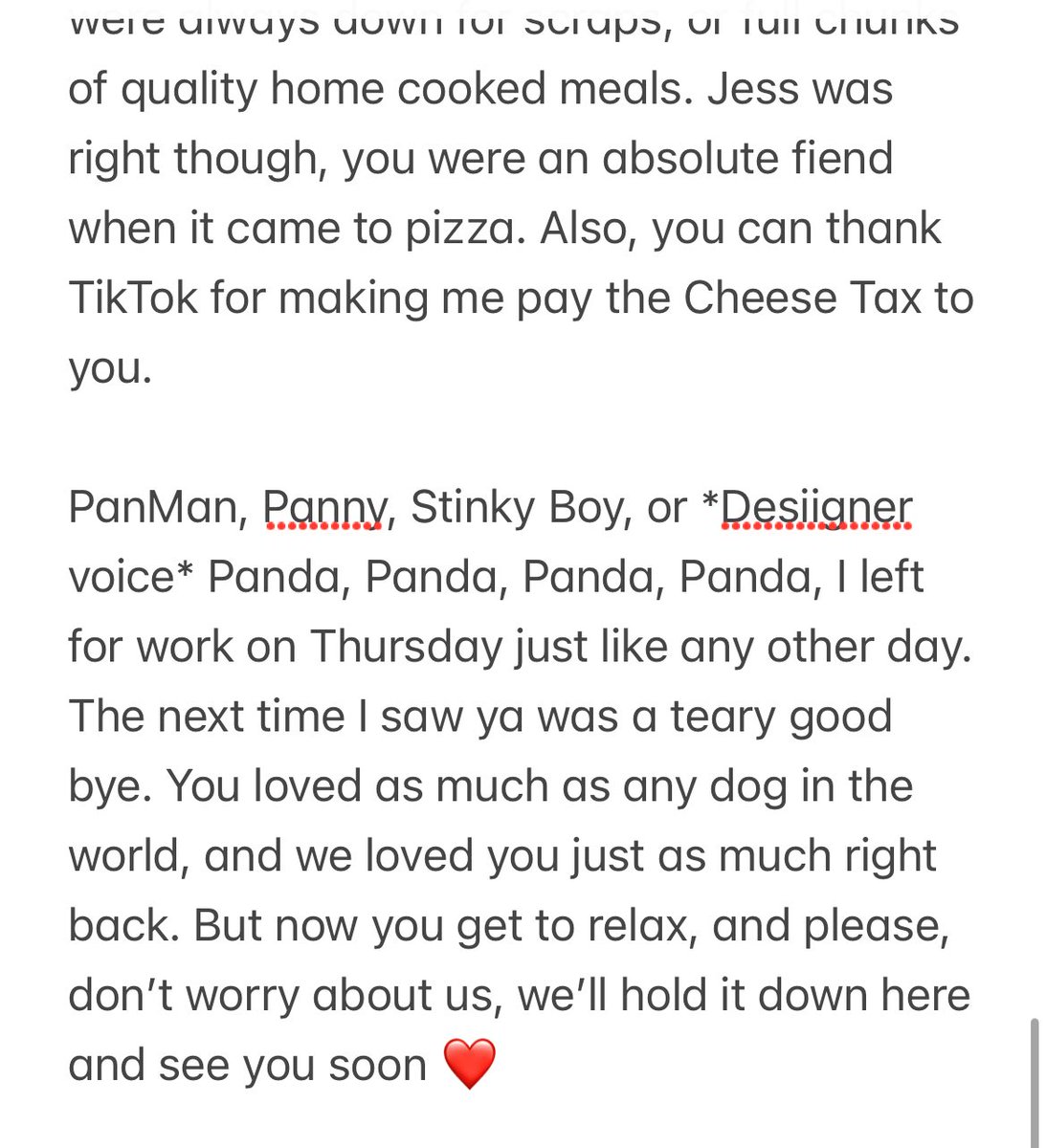 the1st_RJN's tweet photo. The house was a little quieter this morning. Miss you Panda https://t.co/203MZOa1dD