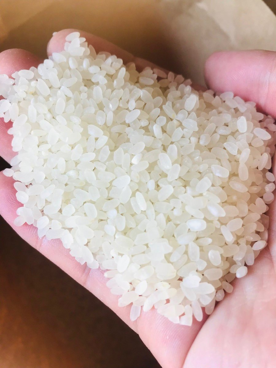 今年廃業する農家さんのお米の販売をお手伝いしております。令和5年度産のヒノヒカリを10kg3,800円(送料込)～のお得な価格にてご案内中です。消費にご協力いただけると大変嬉しいです🙇‍♂️
※2024年1月上旬発送になります。
⠀
【詳細・お申込】
https://t.co/UnveijivMS 