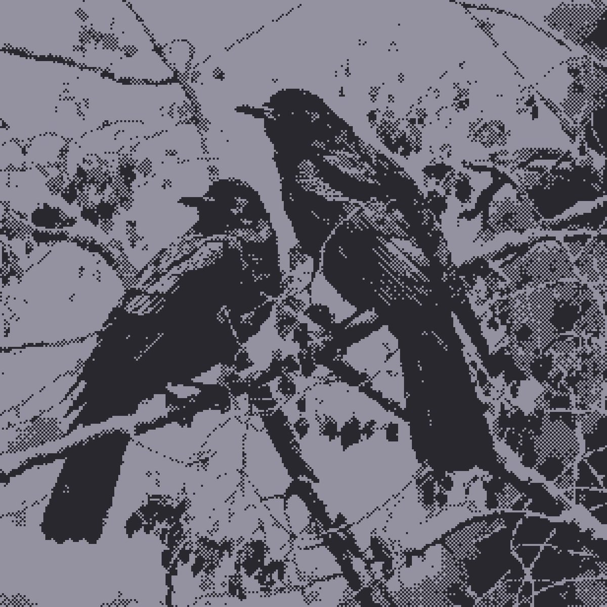 emi.pxl (@emipxl) on Twitter photo Pixelcurio #15 - Corvus
minting SOON on <a href="/foundation/">Foundation 🌐</a>
"These crows have been friends for years and always travel together. Some say they're soulmates and found each other in this life"
#pixelart #onchain Pixelcurio #15 - Corvus
minting SOON on <a href="/foundation/">Foundation 🌐</a>
"These crows have been friends for years and always travel together. Some say they're soulmates and found each other in this life"
#pixelart #onchain