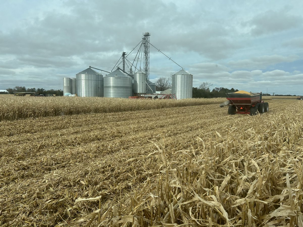 Dennis Driedger tweet media