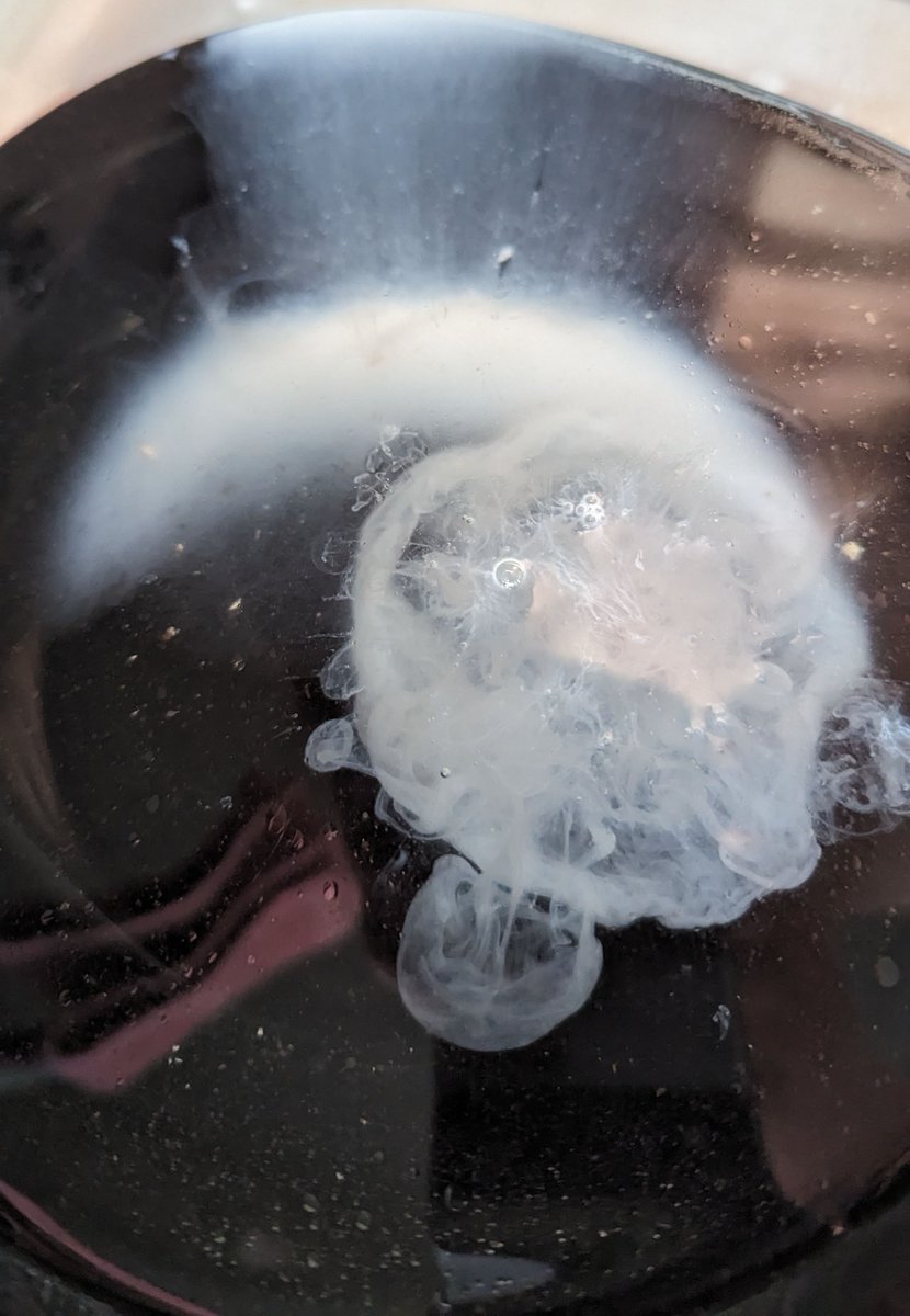 LapshinDmitry's tweet photo. Kitchen art made of two liquids some time ago. https://t.co/DaUD1LKmD6