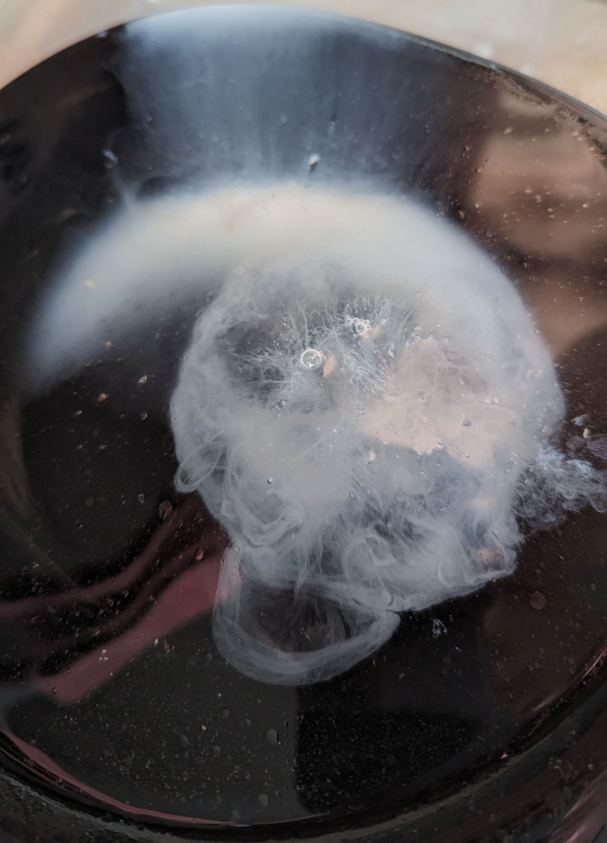 LapshinDmitry's tweet photo. Kitchen art made of two liquids some time ago. https://t.co/DaUD1LKmD6