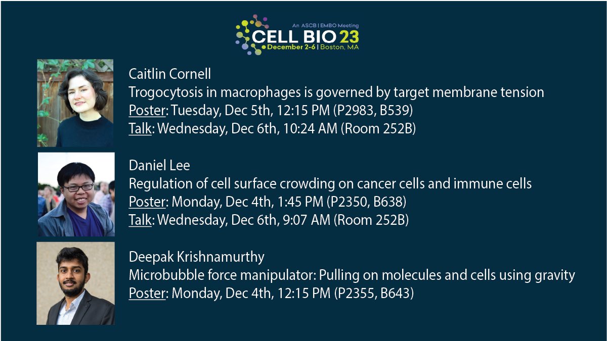 Fletcher Lab (@fletcherlab_ucb) on Twitter photo If you are at #cellbio2023, check out the work from some of our lab members. <a href="/CaitlinCornell6/">Caitlin Cornell</a> <a href="/danielswlee/">Daniel SW Lee</a> <a href="/deepak_me90/">Deepak Krishnamurthy</a> If you are at #cellbio2023, check out the work from some of our lab members. <a href="/CaitlinCornell6/">Caitlin Cornell</a> <a href="/danielswlee/">Daniel SW Lee</a> <a href="/deepak_me90/">Deepak Krishnamurthy</a>