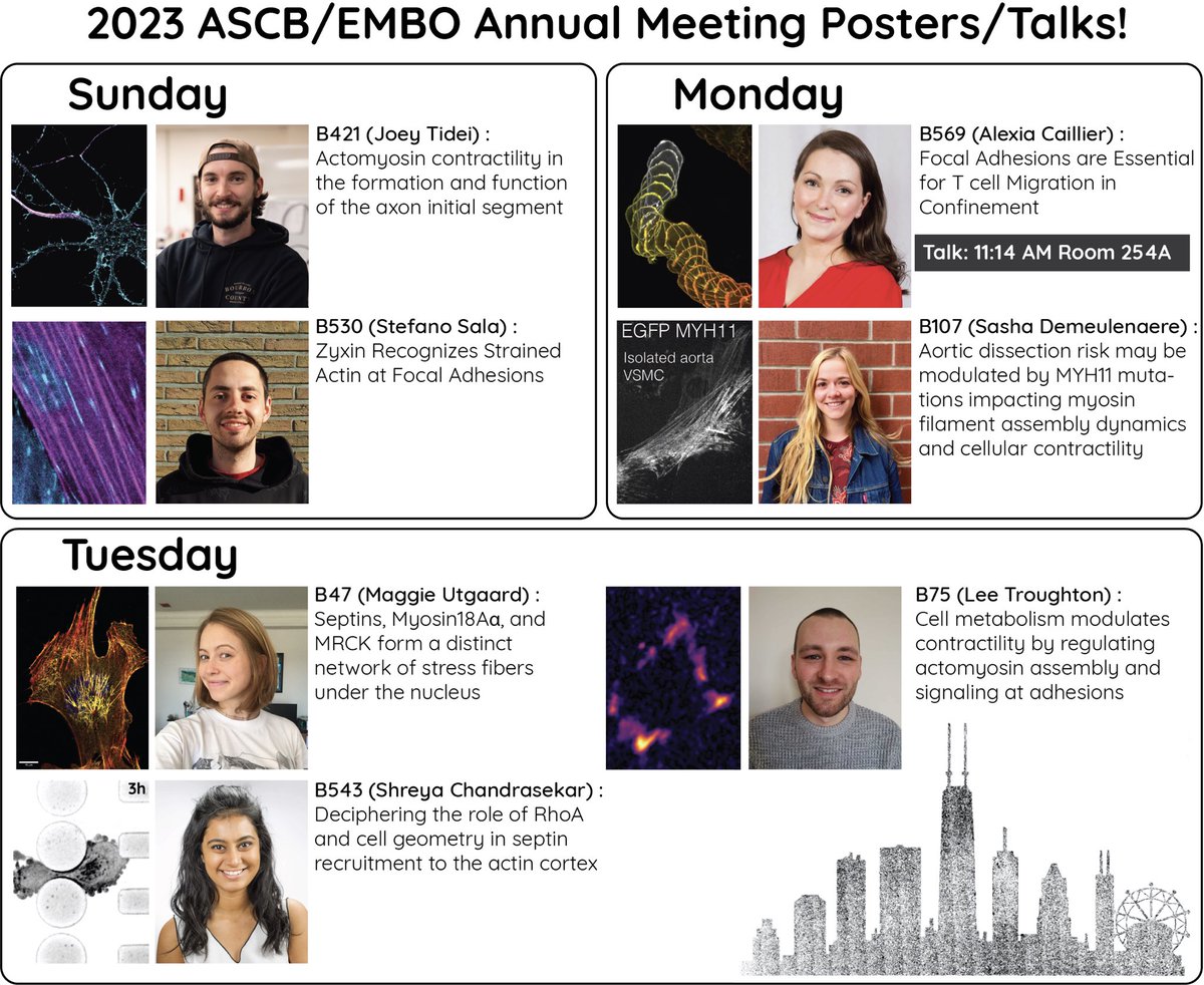 We’ll be in Boston for #cellbio2023! We’ve got a bunch of posters and a talk this year and tons of cool data we’re excited to tell everyone about. Come check them out and see what we’ve been up to!